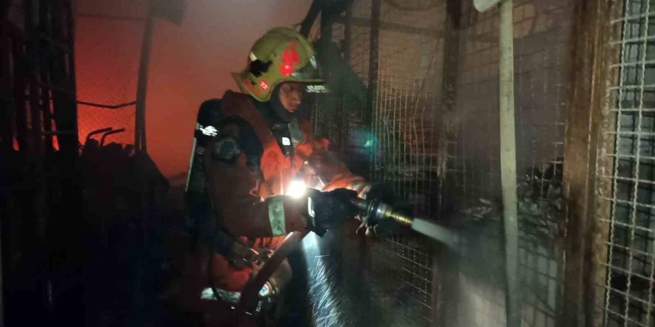 Tayland’da Hayvan Pazarında Yangın: En Az Bin Hayvan Telef Oldu