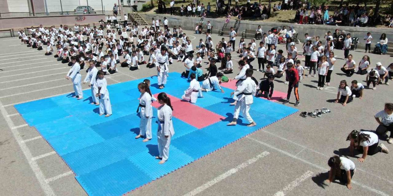 Sivas’ta 450 Kişilik Karate Gösterisi Dikkat Çekti