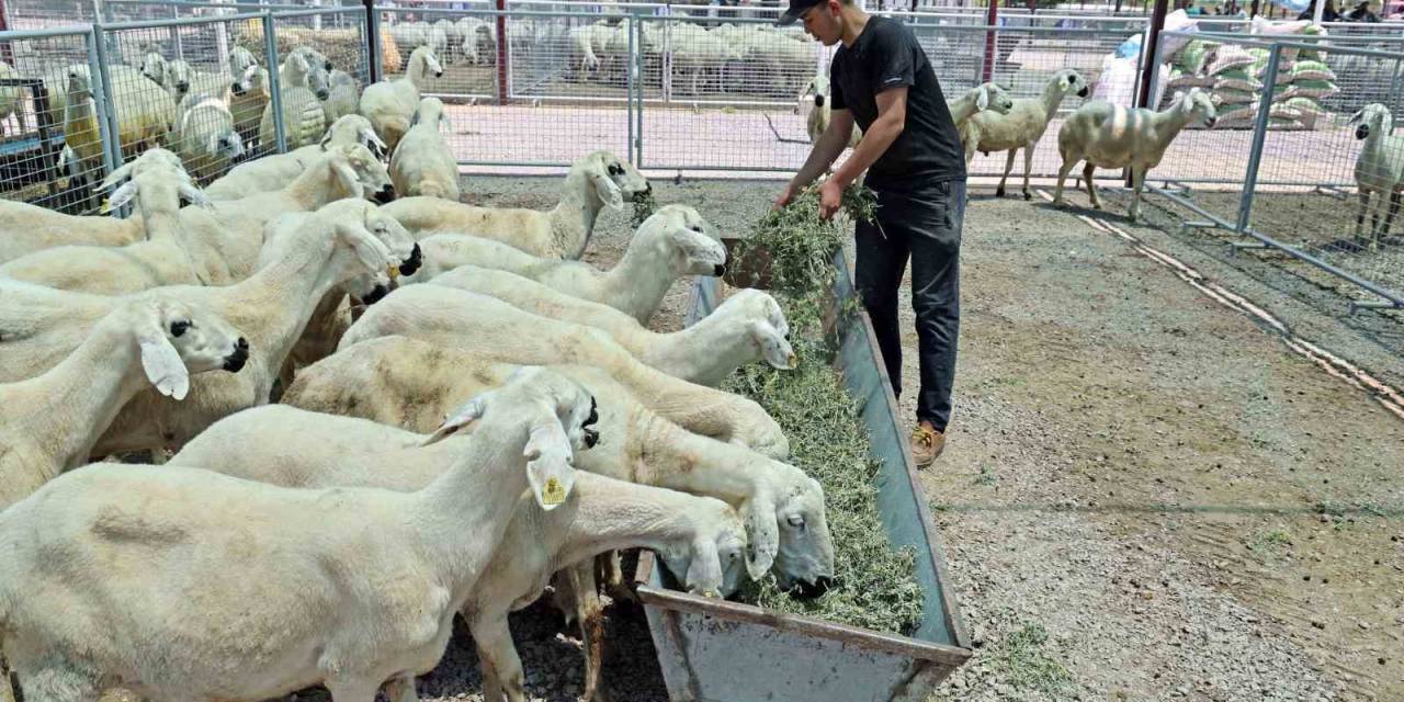 “Kayseri’de Bir Numara Talas Belediyesi”