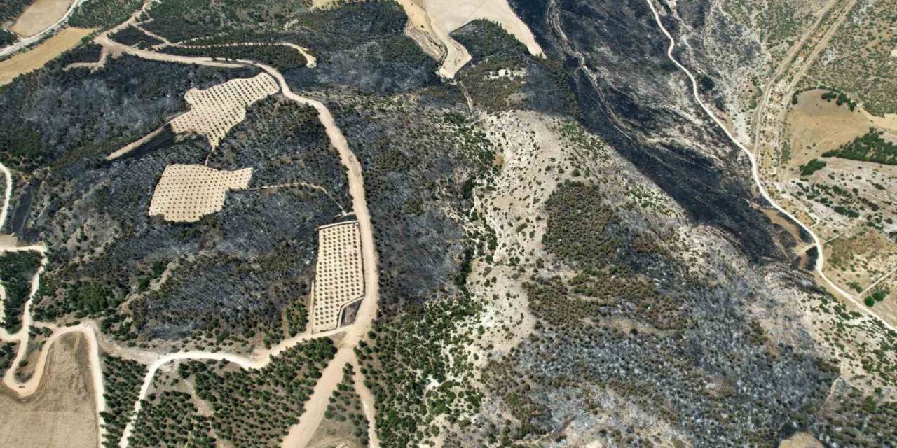35 Hektar Alanın Zarar Gördüğü Yangın Sahası Havadan Görüntülendi