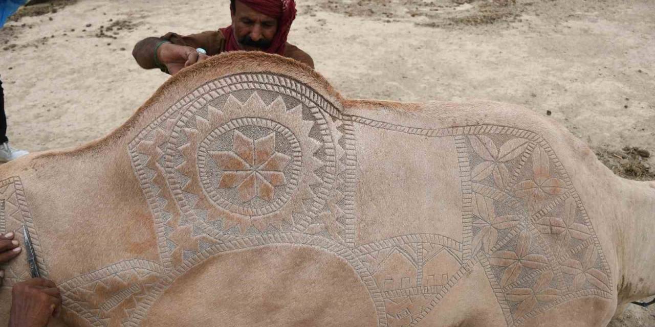 Pakistan’da Bayram Hazırlığı: Develer Geleneksel Motiflerle Süslendi