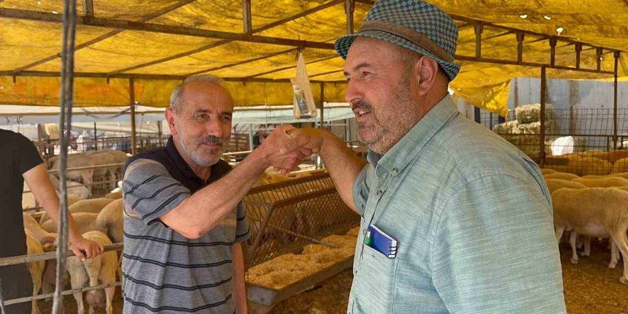 Modern Hayvan Pazarı’nda Kurbanlık Alışverişi Devam Ediyor