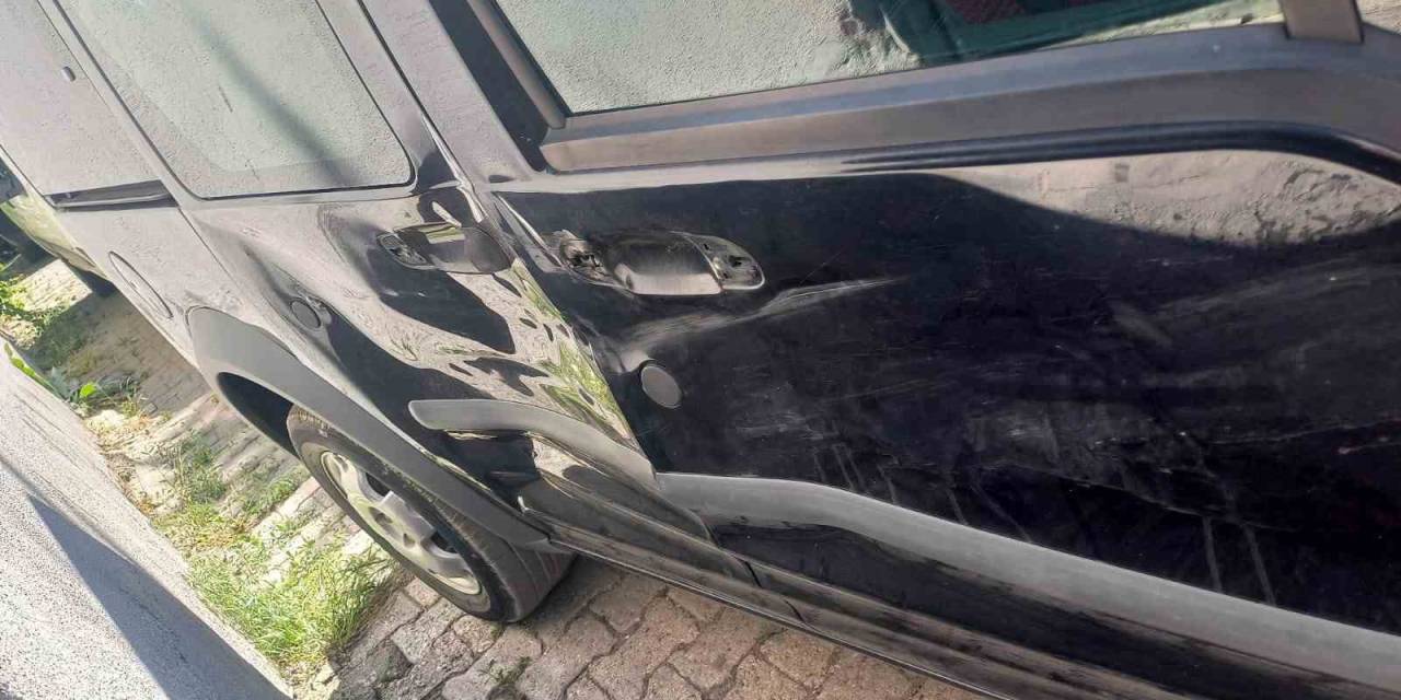 Tunceli’de Ayı, Seyir Halindeki Araca Saldırdı