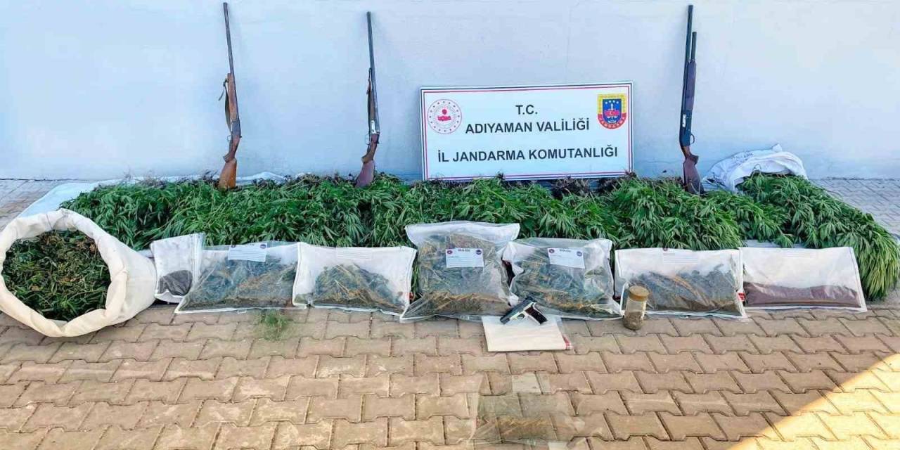 Jandarmadan Uyuşturucu Operasyonu
