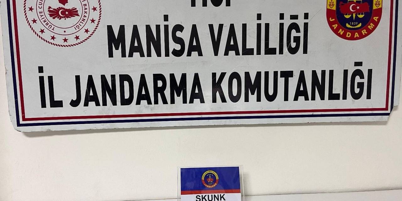 Manisa’da Şüpheliden Skunk Ele Geçirildi