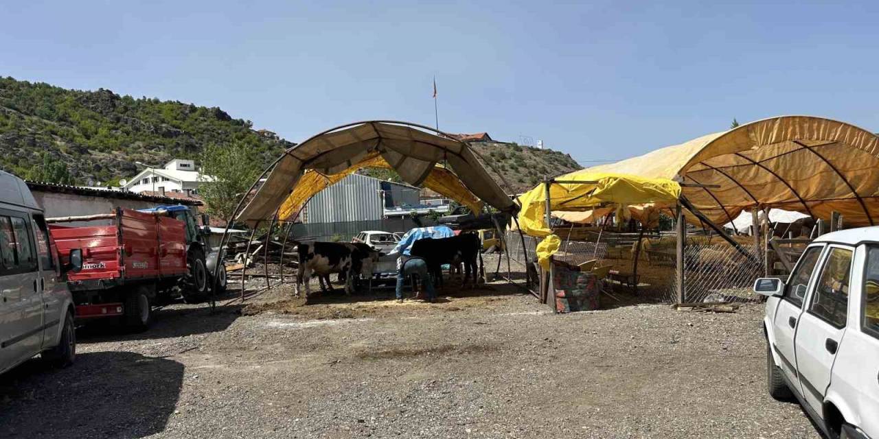 Kızılcahamam’da Kurban Pazarı Kuruldu