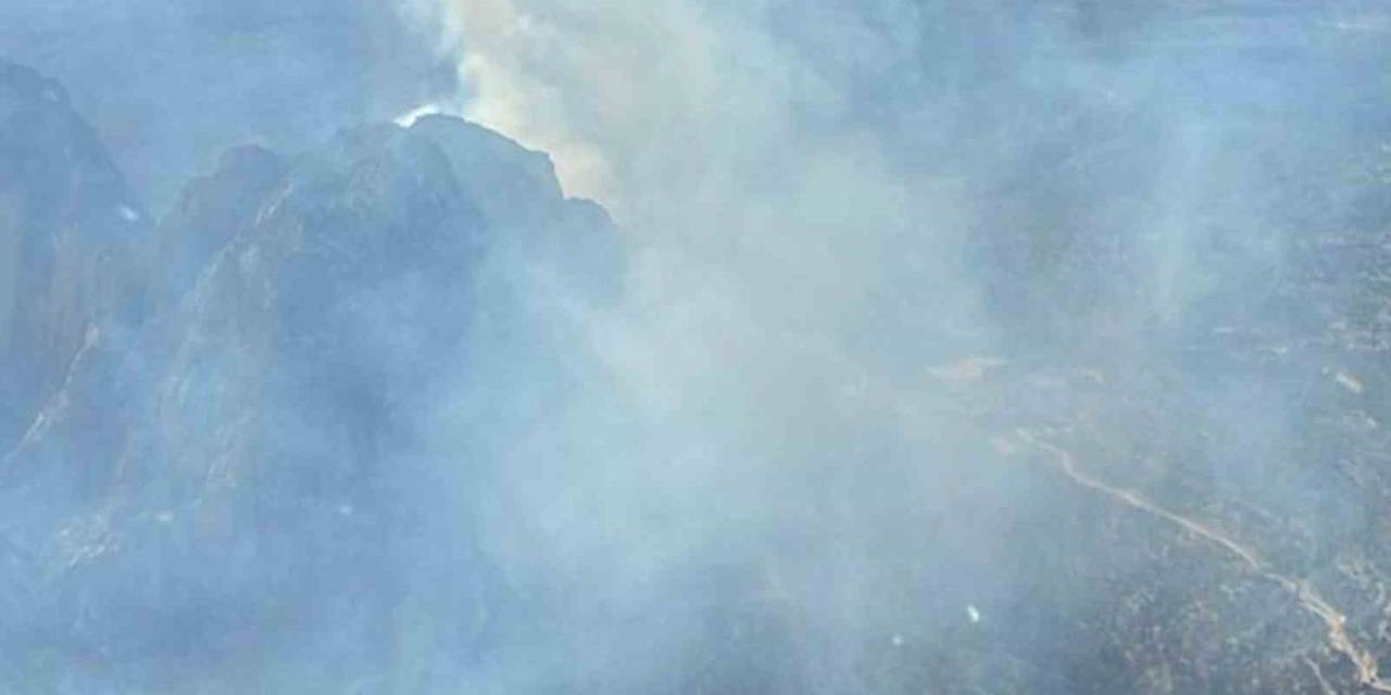 Mut’ta Orman Yangını