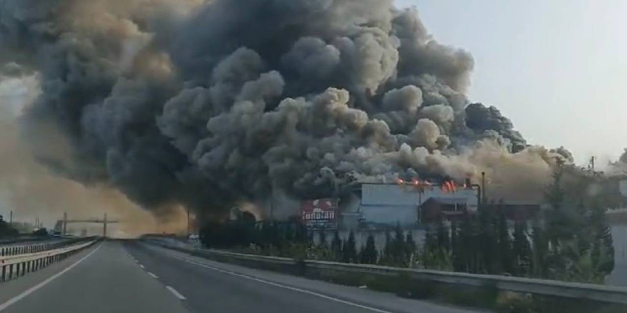 Kereste Fabrikası Alev Alev Yandı, Dumanları D-650 Kara Yolunu Kapladı