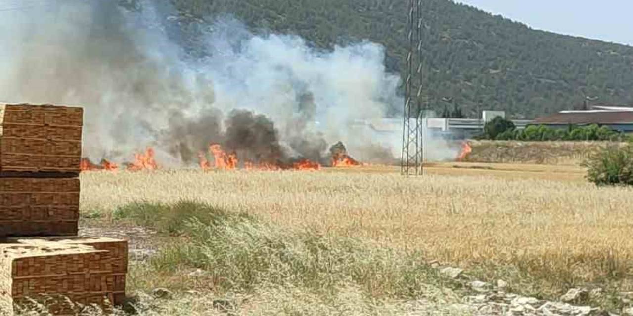 Burdur’da Çıkan Arazi Yangınında Yaklaşık 25 Dekar Alan Yandı