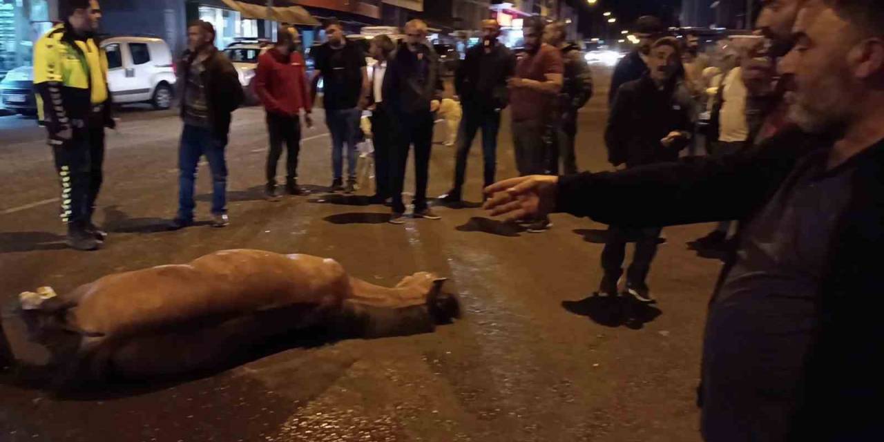 Bunun Adı Vicdansızlık