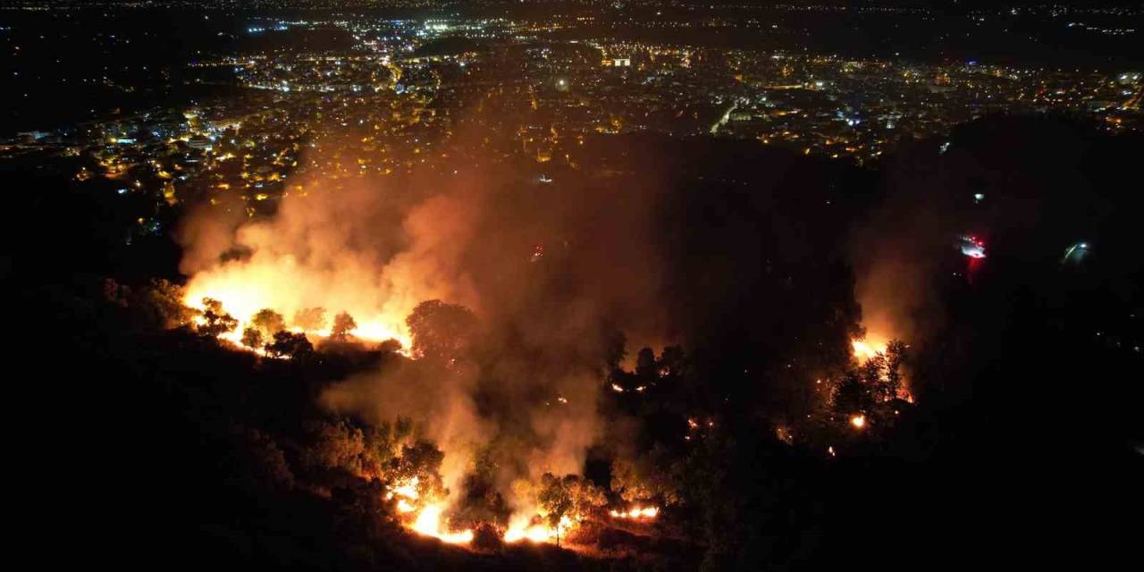 Tire’de Çıkan Yangında Beş Dönümlük Zeytinlik Alan Zarar Gördü