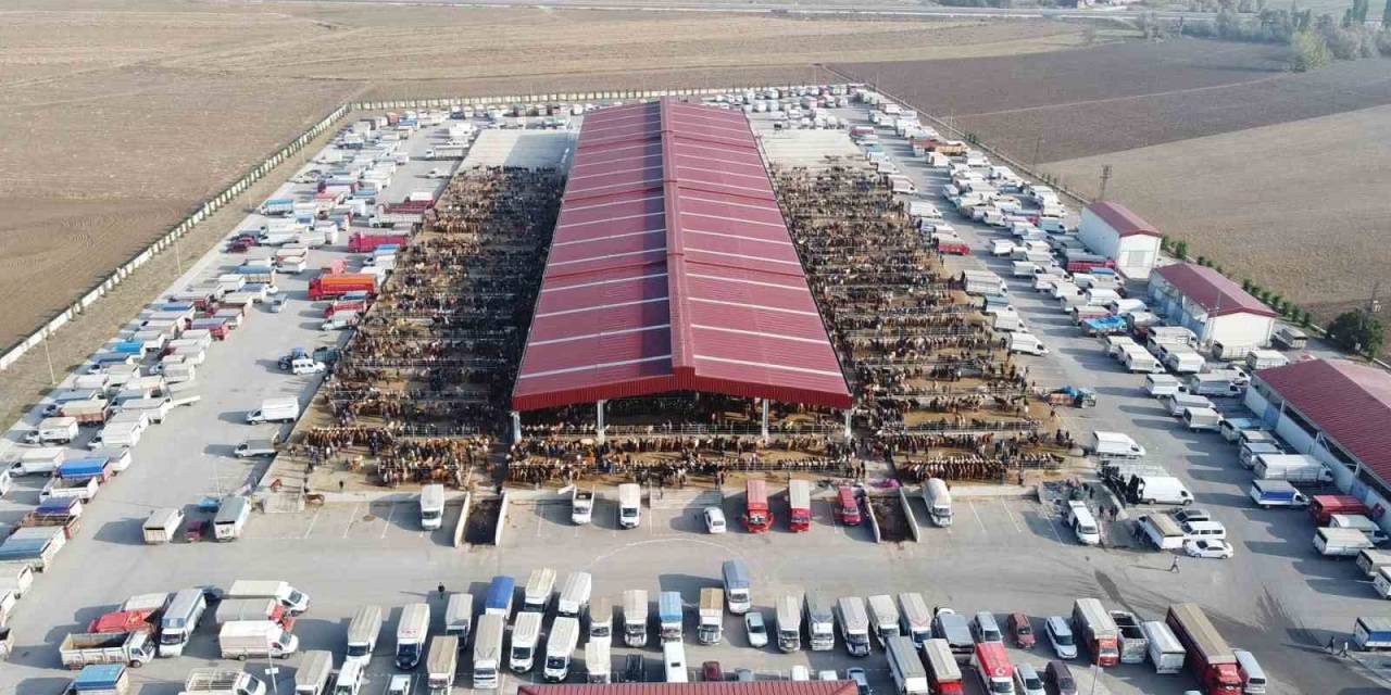 Çorum Hayvan Pazarında Bayram Mesaisi Başladı