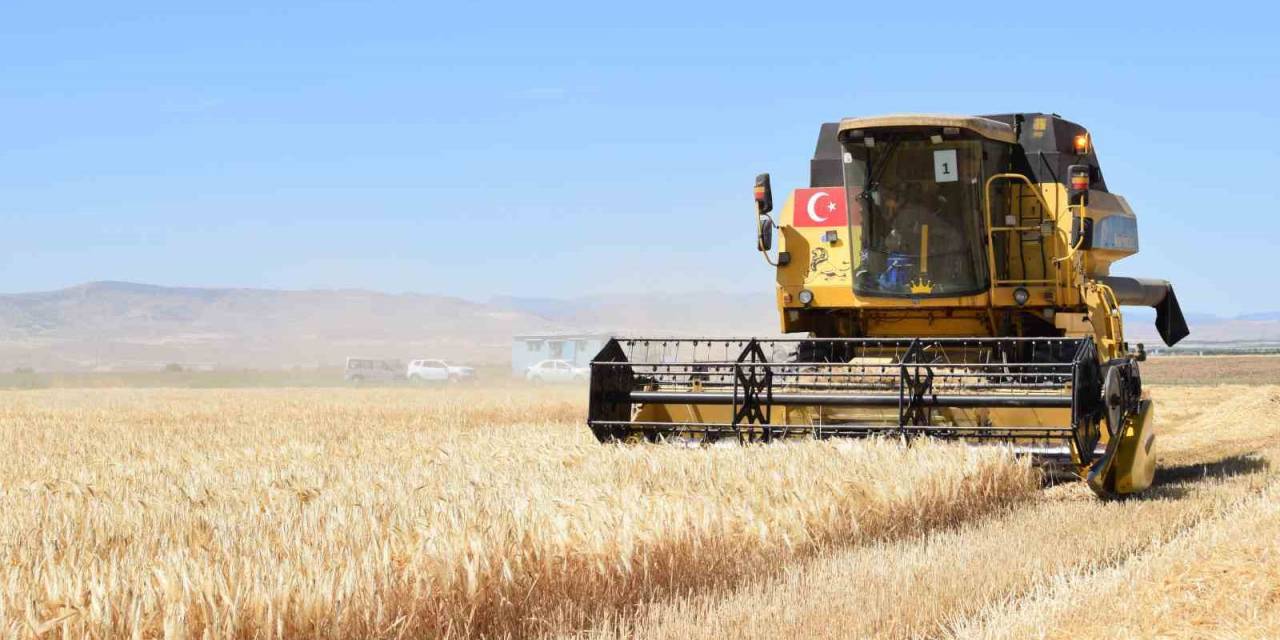 Sultansuyu’nda Hububat Hasadı Başladı