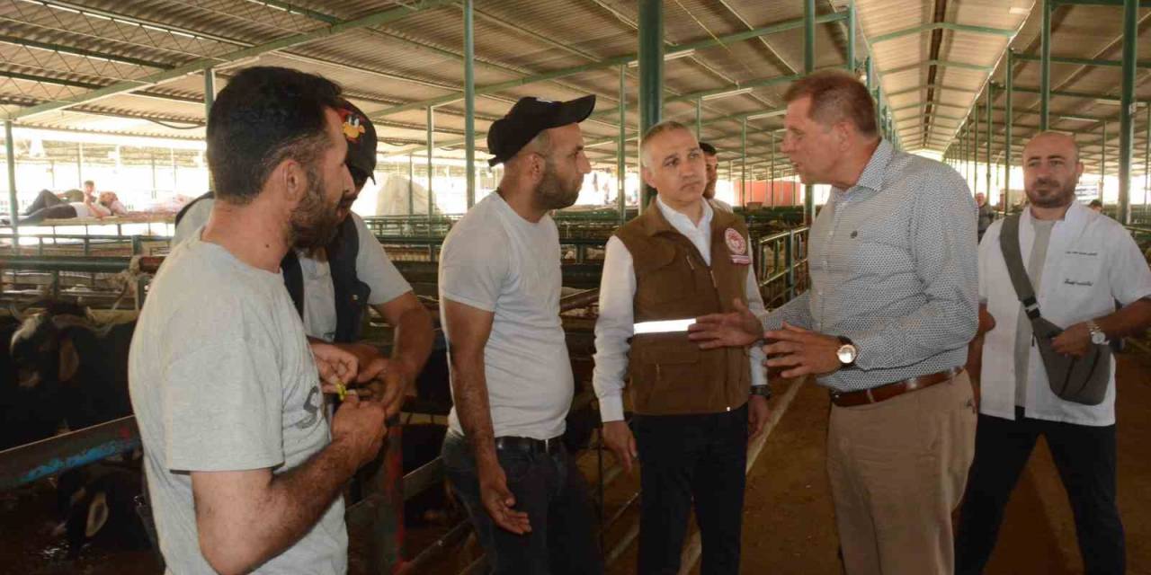 Özkasap Ve Öztürk Canlı Hayvan Borsası’nda İncelemelerde Bulundu