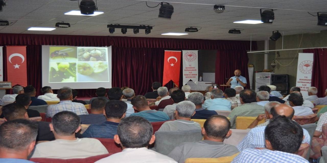 Buharkent’te İncir Siyah Sineği Ve Hastalıkları Eğitim Toplantısı Düzenlendi