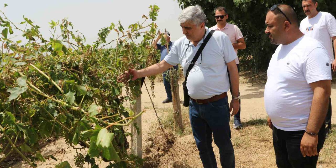 Büyükşehir Belediyesi Ve Alaşehir Belediyesi Afetzede Vatandaşların Yanında