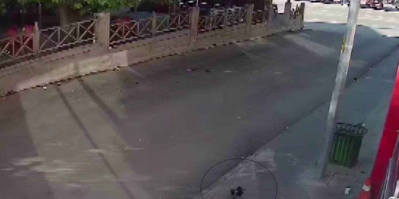 Kameraları İnceleyince Ortaya Çıktı, Bu Hırsız Hayrete Düşürdü