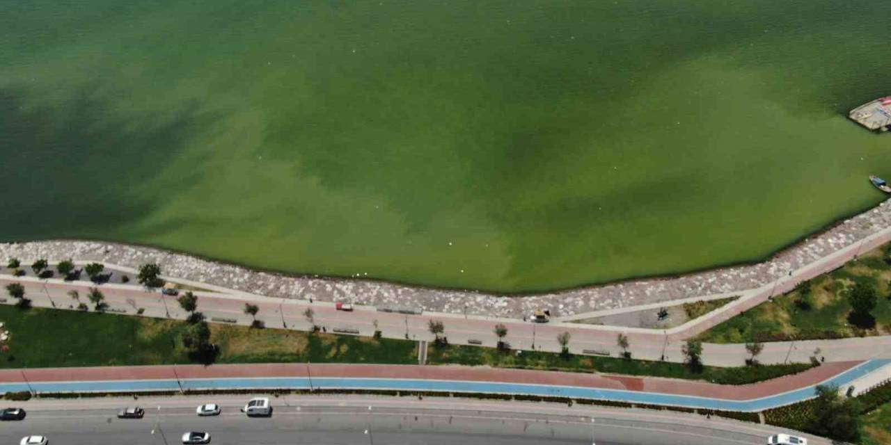 İzmir’in İki İlçesinde Denizin Rengi Değişti, Kötü Koku Yayıldı