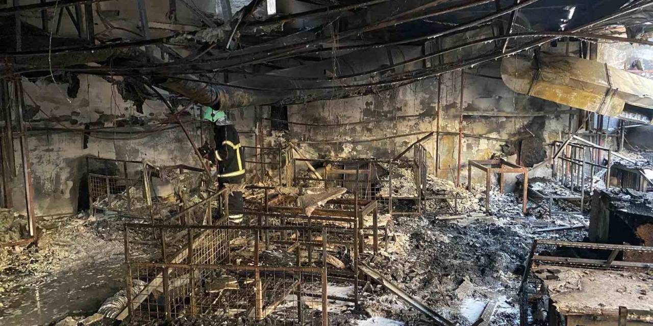 Gece Kulübünde Çıkan Yangın Ekiplerce Söndürüldü