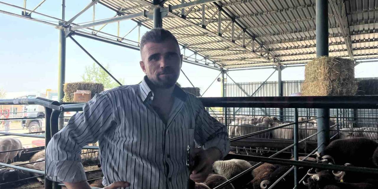 Kurbanlıklarını 13 Saatlik Yolculukla Bin 138 Kilometre Uzaktan Getirdi