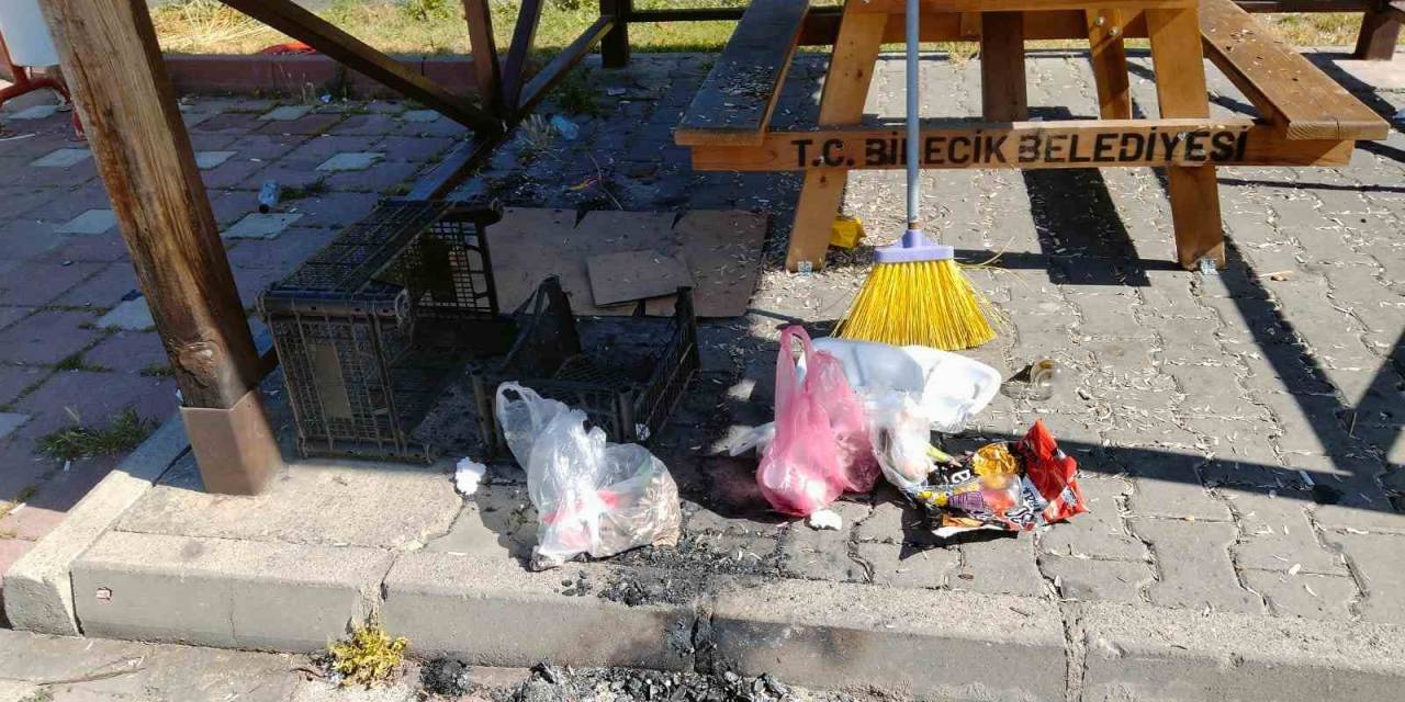 Çevreyi Kirletenler Cezalandırılacak