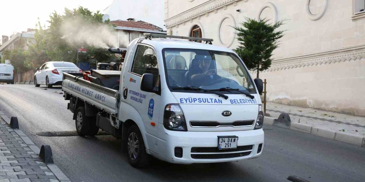 Eyüp’te Sivrisinek İlaçlama Çalışmaları Aralıksız Sürüyor