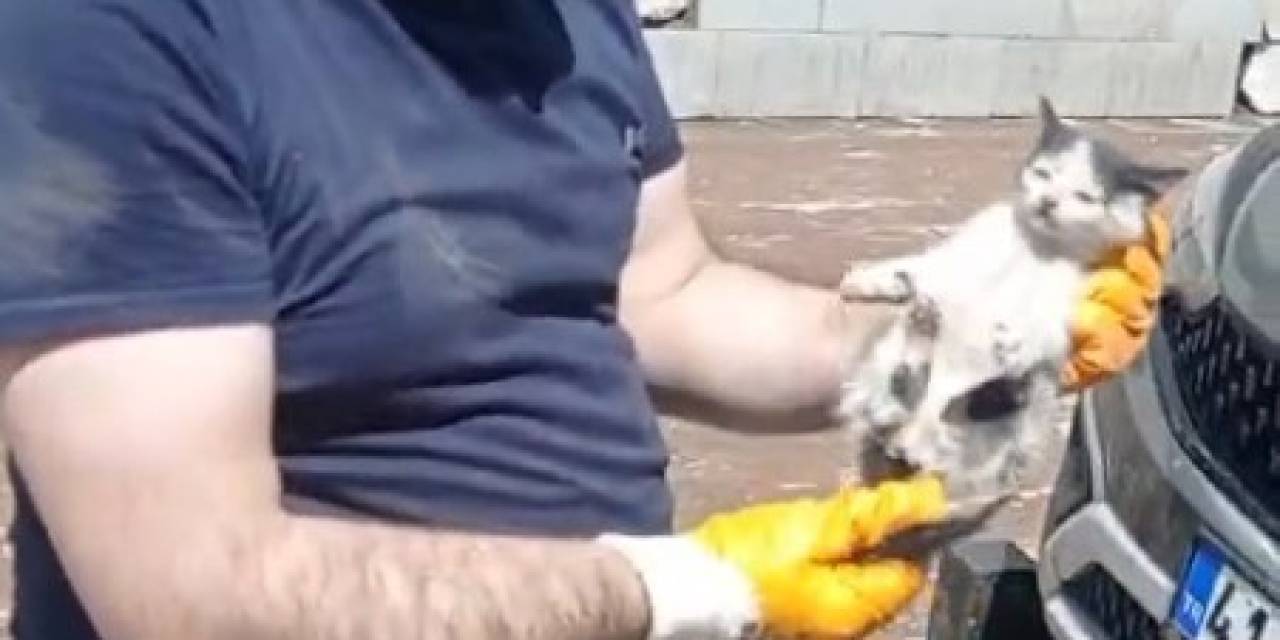 Araç Motoruna Sıkışan Yavru Kedi Kurtarıldı