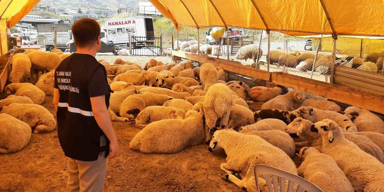 Umuma Açık Alanlarda Kurban Kesenlere Ceza Yağacak