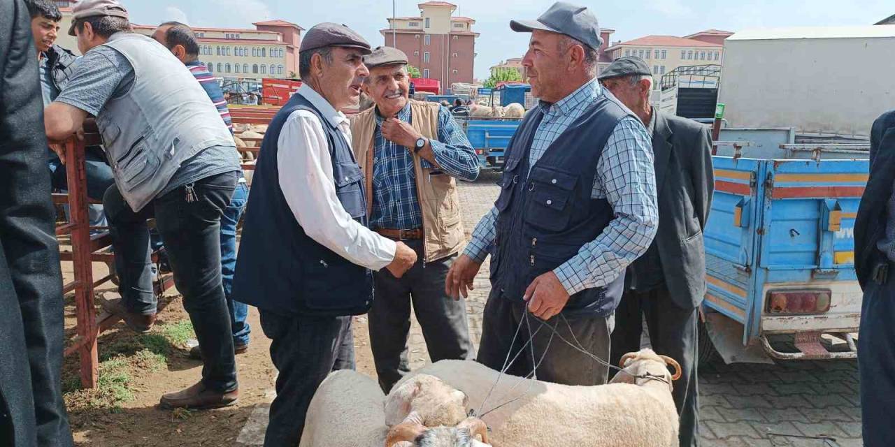 Afyonkarahisar’da Küçükbaş Kurbanlıklar Müşterilerini Bekliyor