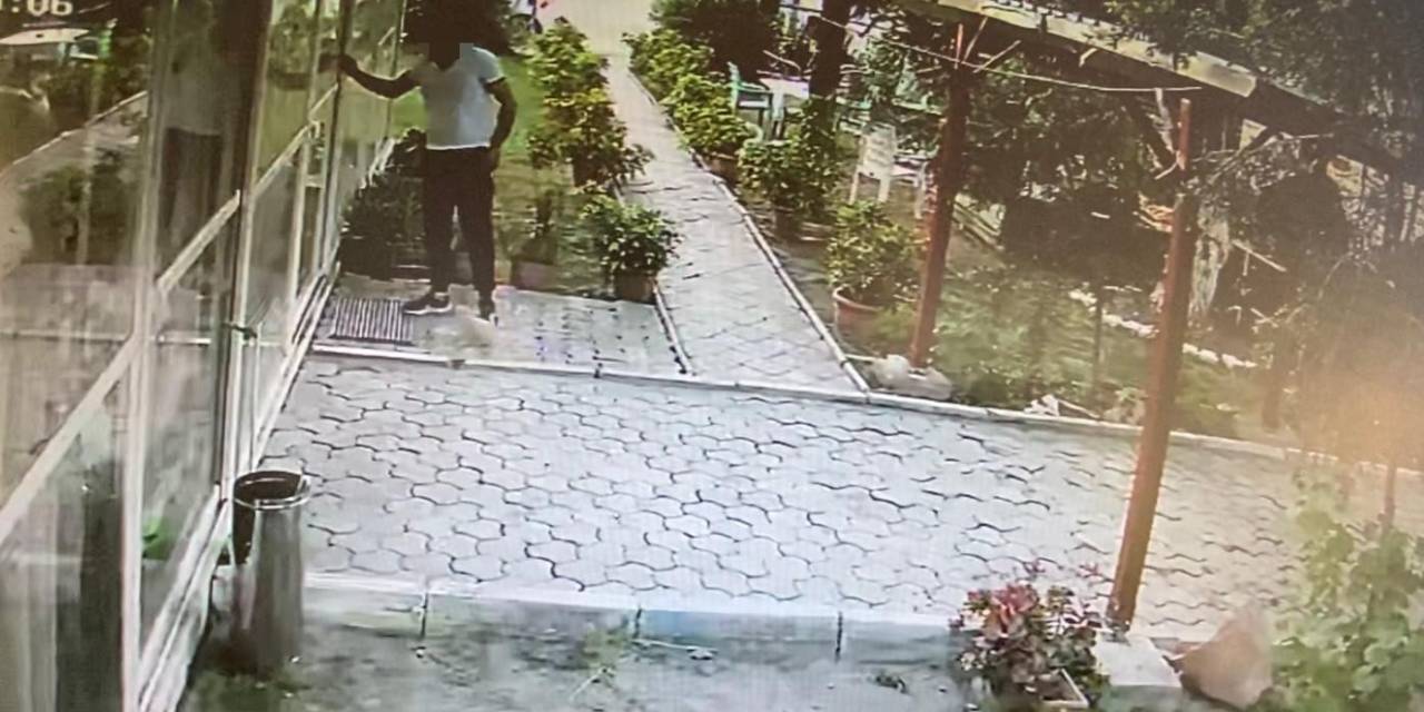 Pansiyona Giremeyince Yavru Köpeği Götürdü