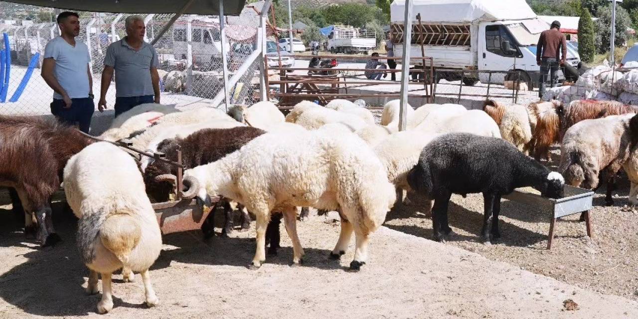 Osmaniye’de Kurban Bayramı Öncesi Hayvan Pazarında Denetim