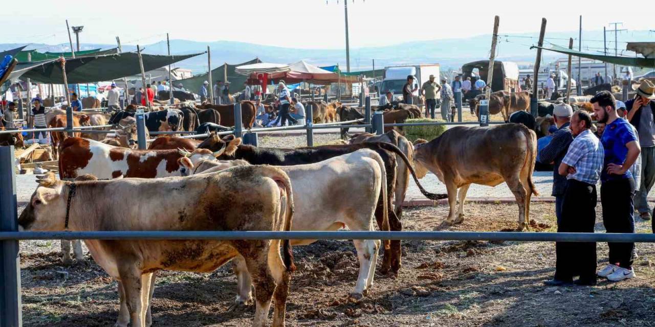 Meram Kurban Bayramı’na Hazır