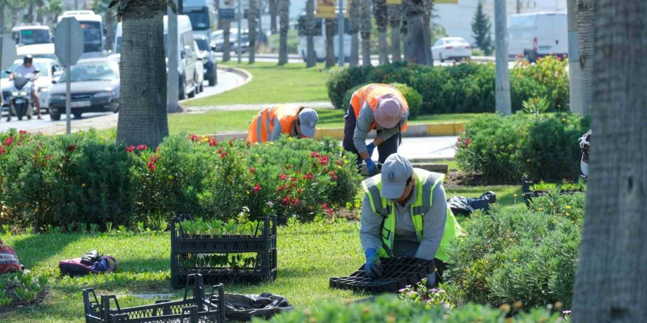 Kavşak Ve Refüjlere Yaz Dokunuşları