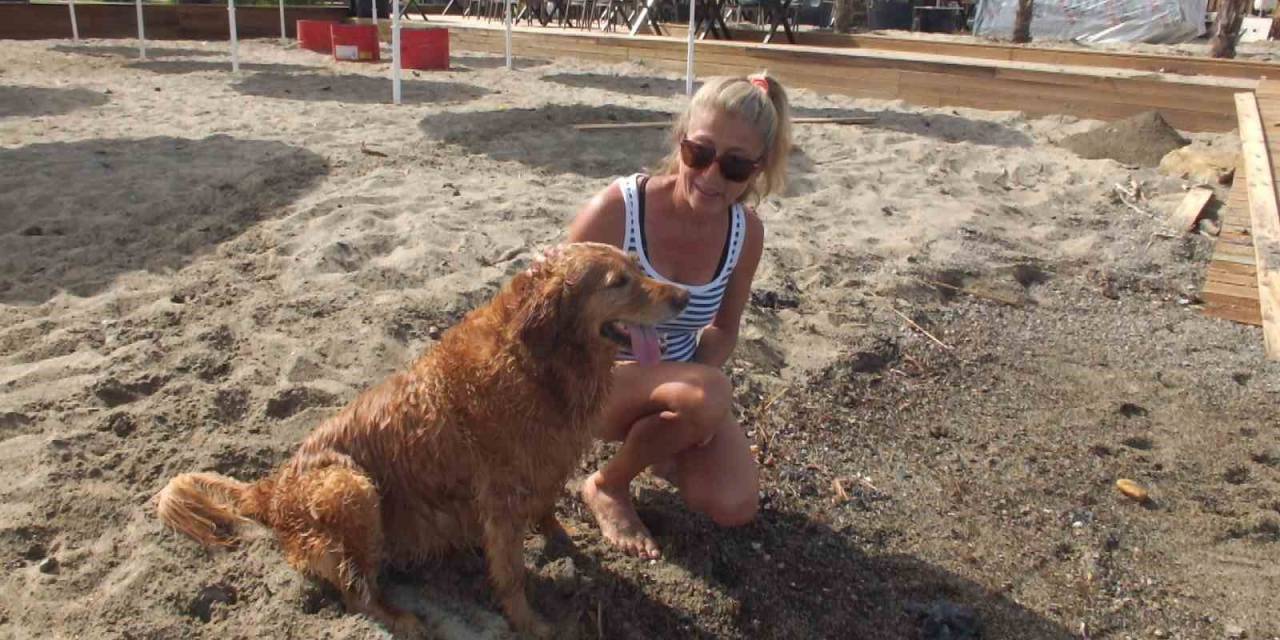 Balıkesir’de ’grim’ Köpeğin Deniz Keyfi