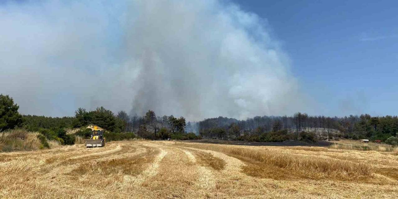 Çanakkale’de Orman Yangınına 9 Uçak Ve 5 Helikopterle Müdahale Ediliyor