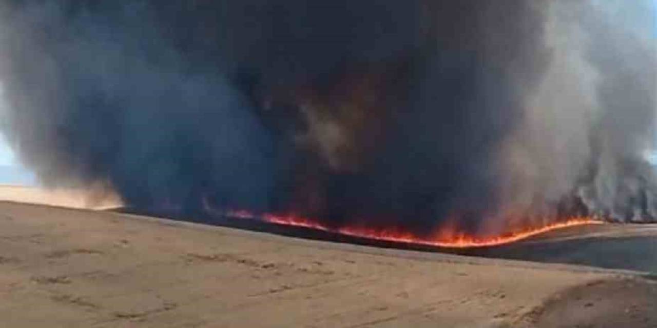 Diyarbakır’da Bin Dönümlük Arazi Küle Döndü