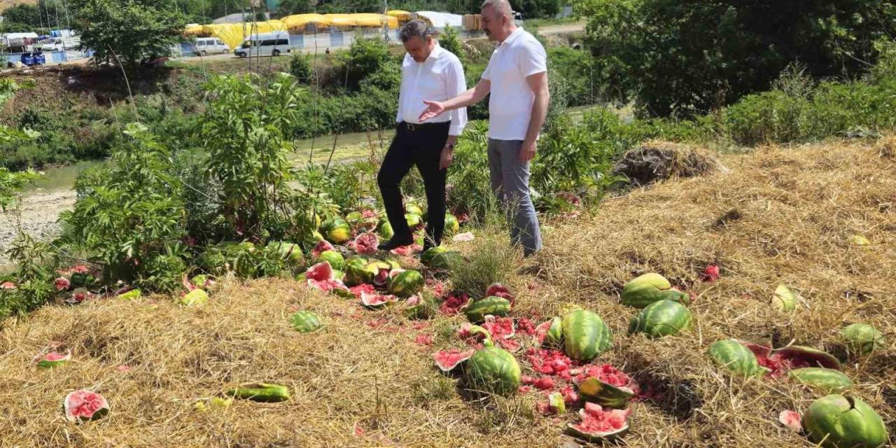 Samsun’da Irmak Kenarına Karpuz Dökmeye İnceleme