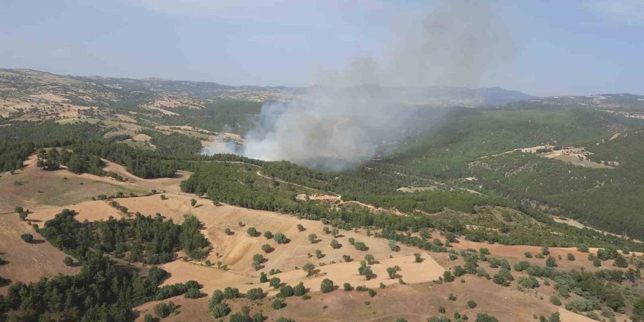 Kütahya Gediz’de Orman Yangını Devam Ediyor