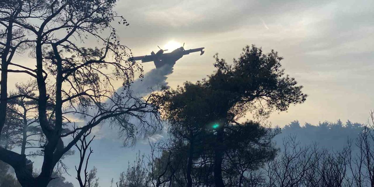 Çanakkale’deki Orman Yangını 8 Saat Sonra Kontrol Altına Alındı