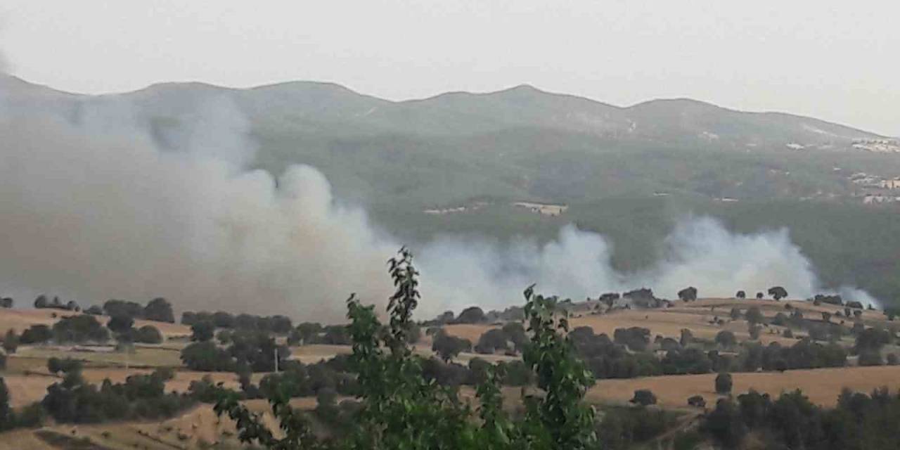 Gediz’deki Orman Yangını Kontrol Altına Alındı