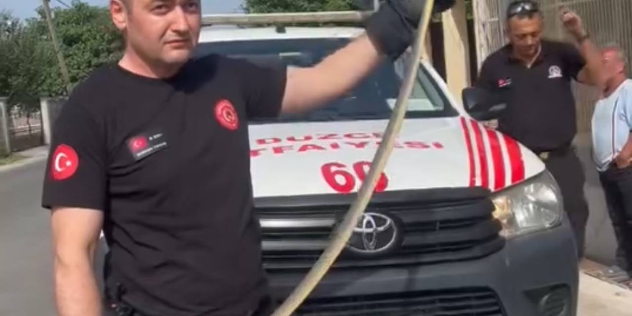 Düzce’de Markette Yılan Paniği