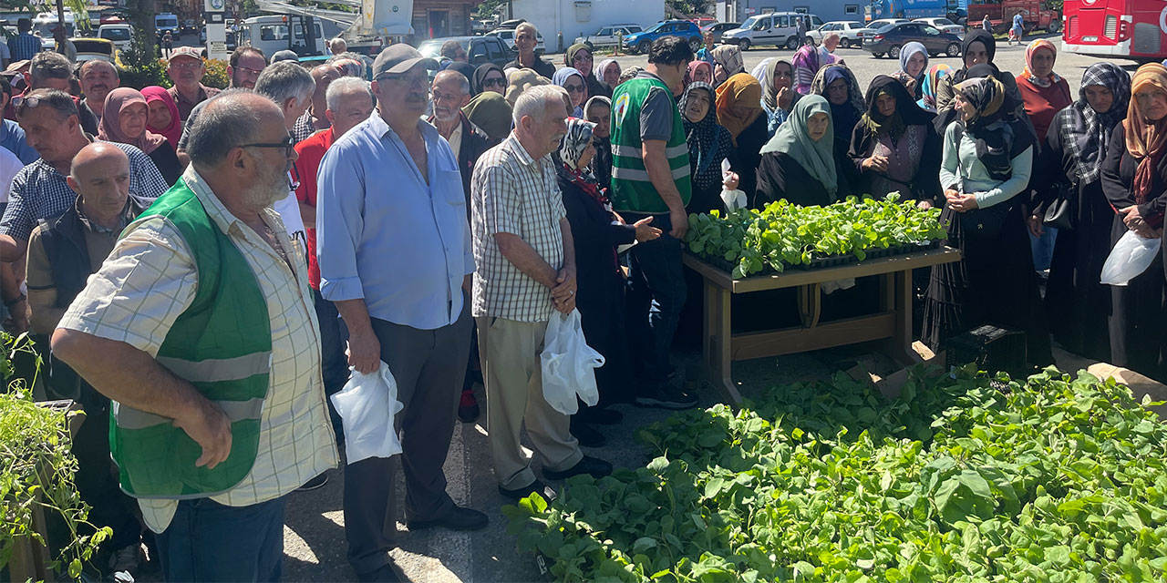 Rize’de Ata Tohumlarından Üretilen 40 Bin Sebze Fidanı Vatandaşlara Dağıtıldı