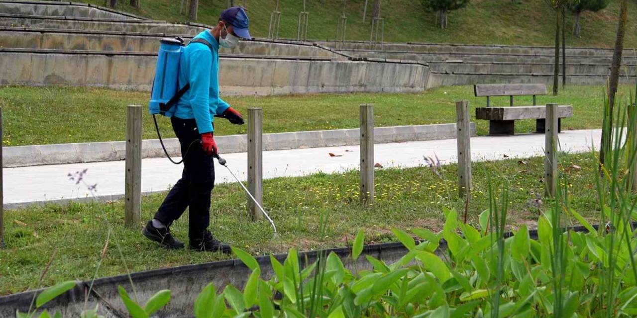 Başakşehir’de Sivrisinek Ve Haşerelere Geçit Yok