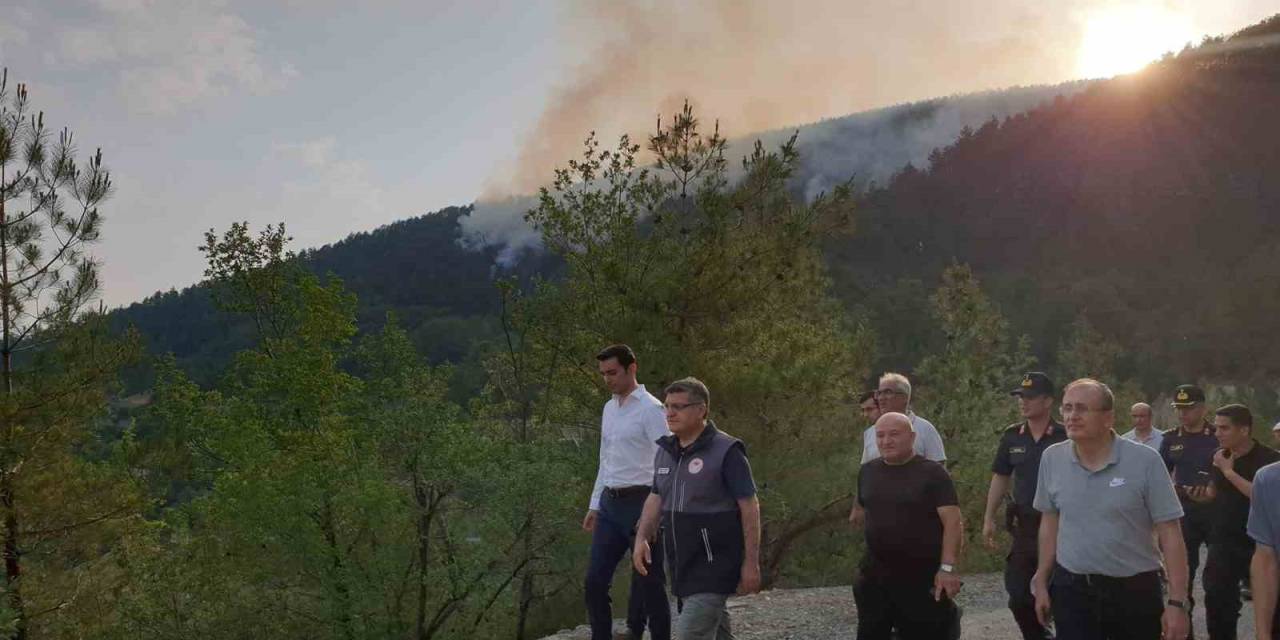 Sinop’taki Orman Yangını Kontrol Altına Alındı