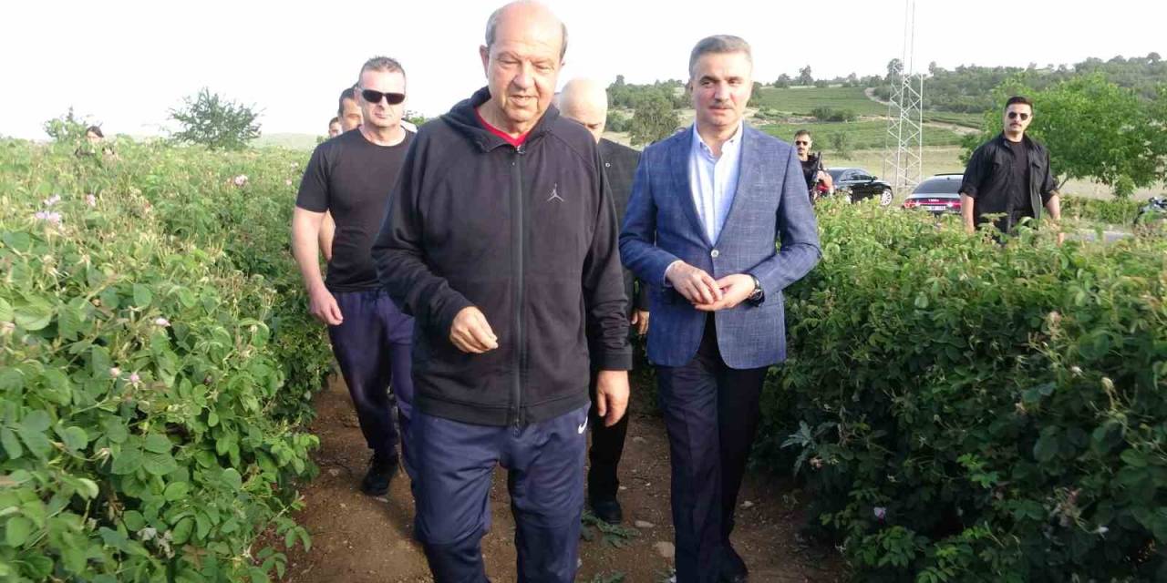 Kktc Cumhurbaşkanı Ersin Tatar: "Gül Bir Kültürdür"