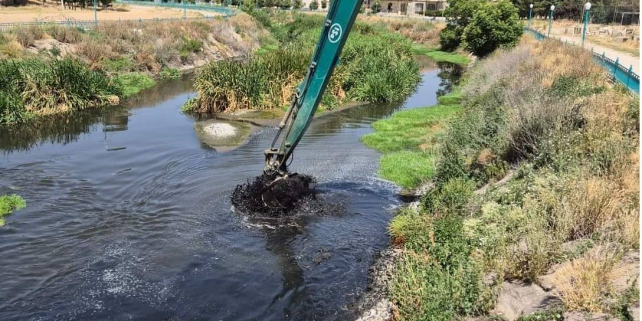 Alpu Sivrisinekten Ve Pis Kokudan Kurtuldu