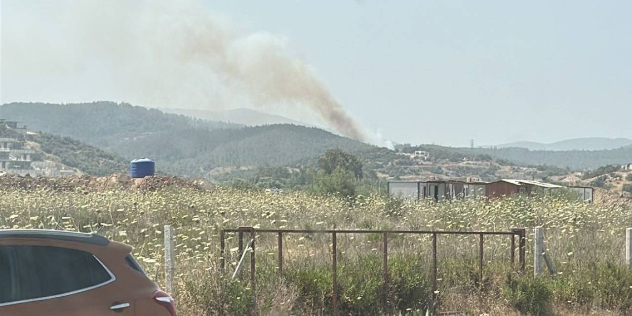 Milas’taki Orman Yangını Kontrol Altına Alındı