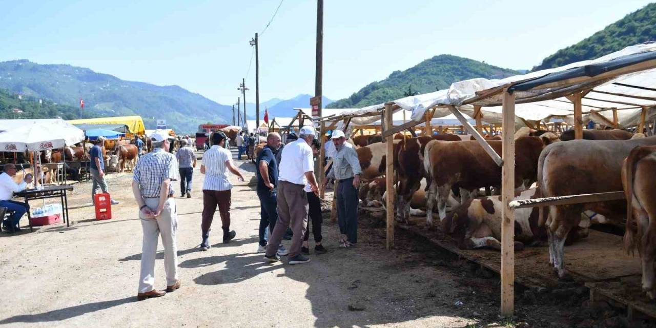 Ortahisar, Kurban Bayramı’na Hazır