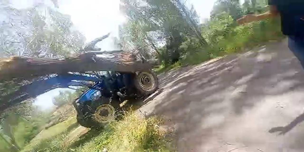 Çürüyen Ağaç Üzerine Devrildi, Felaketin Eşiğinden Dönüldü