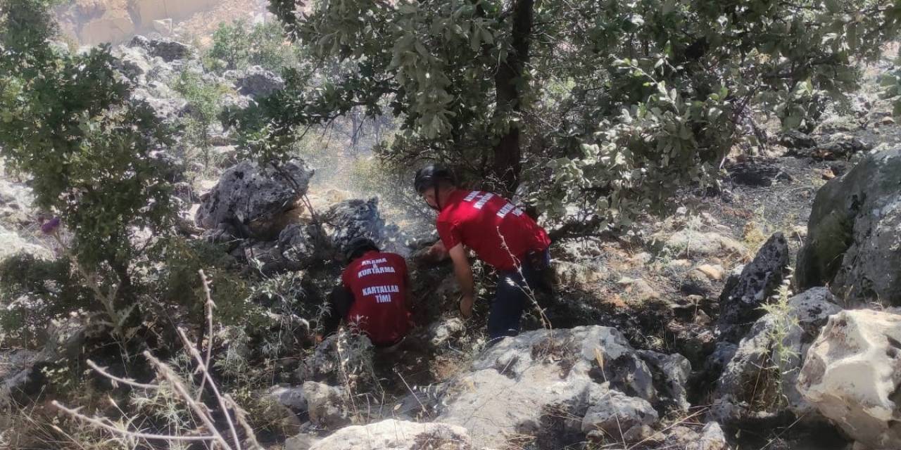 Orman Yangını Güçlükle Söndürüldü